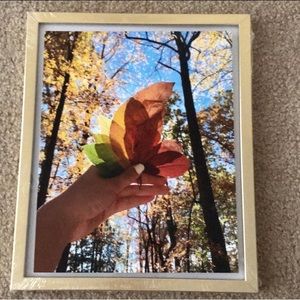 8” x 10” Fall Leaves Print